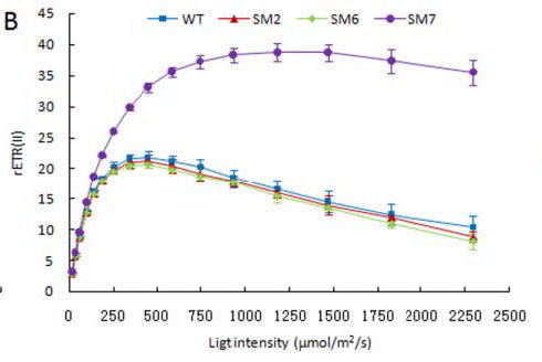 light intensity b.jpg light intensity b.jpg
