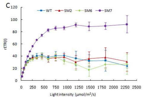 light intensity C.jpg light intensity C.jpg